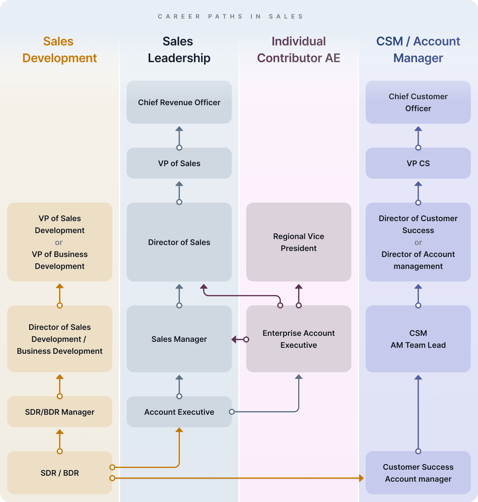 Sales career path